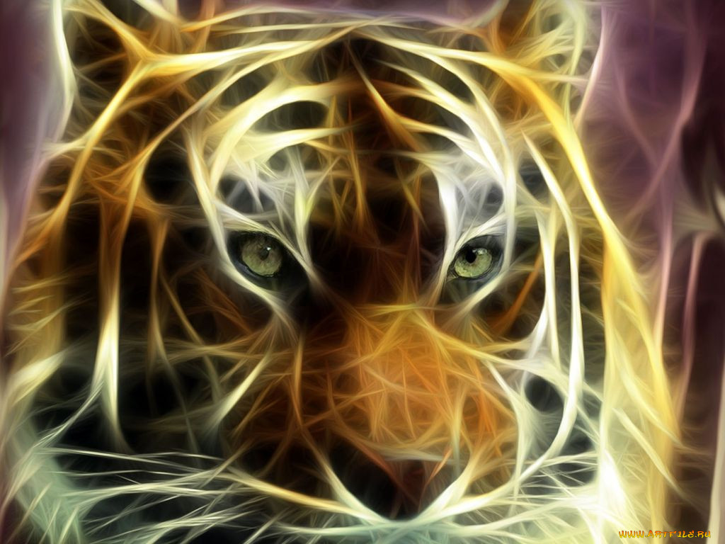 3, , animals, 